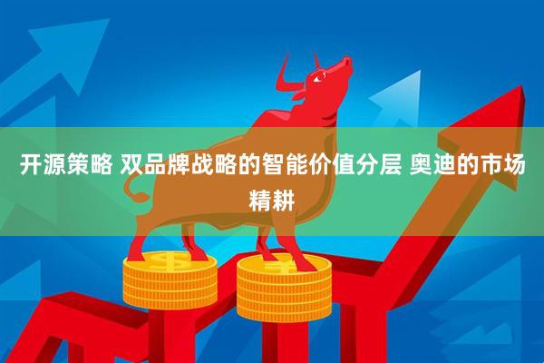 开源策略 双品牌战略的智能价值分层 奥迪的市场精耕