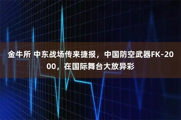金牛所 中东战场传来捷报，中国防空武器FK-2000，在国际舞台大放异彩