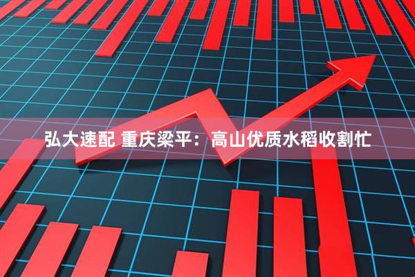 弘大速配 重庆梁平：高山优质水稻收割忙