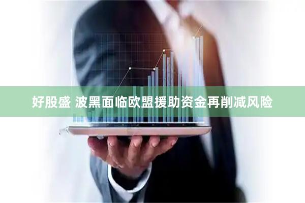 好股盛 波黑面临欧盟援助资金再削减风险