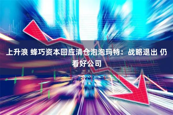 上升浪 蜂巧资本回应清仓泡泡玛特：战略退出 仍看好公司