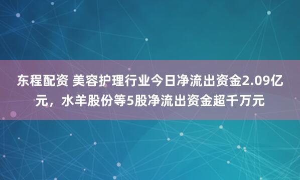 东程配资 美容护理行业今日净流出资金2.09亿元，水羊股份等5股净流出资金超千万元