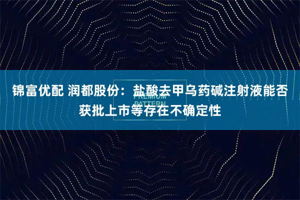 锦富优配 润都股份：盐酸去甲乌药碱注射液能否获批上市等存在不确定性