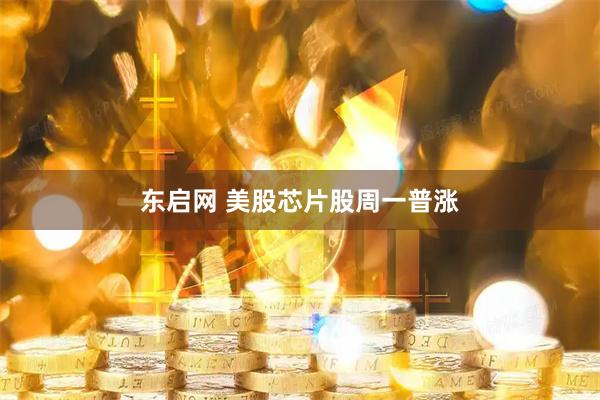 东启网 美股芯片股周一普涨