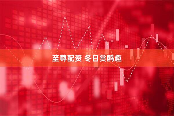 至尊配资 冬日赏鸥趣