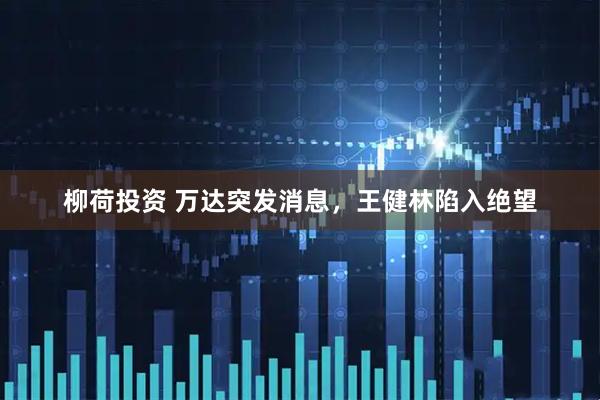柳荷投资 万达突发消息，王健林陷入绝望