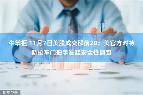 牛掌柜 11月7日美股成交额前20：美官方对特斯拉车门把手发起安全性调查