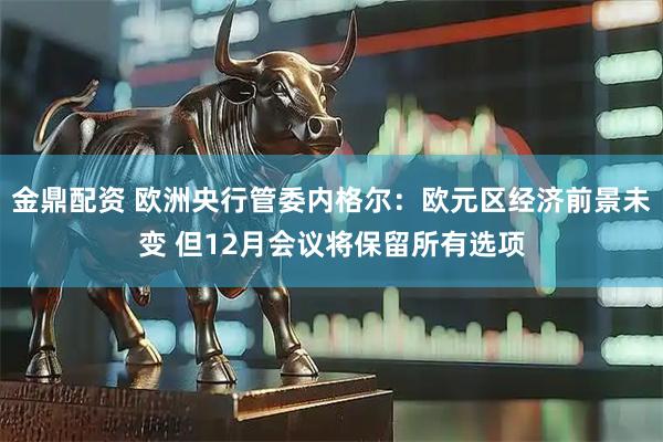 金鼎配资 欧洲央行管委内格尔：欧元区经济前景未变 但12月会议将保留所有选项